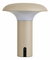 Vanjska LED svjetiljka Rodelia (bež)