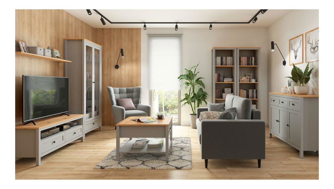 TV stolík BRW Salga 11 (arktická sivá + dub artisan) 