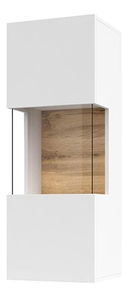 Vitrína na stenu Avernic Typ 07 (biela + dub wotan)