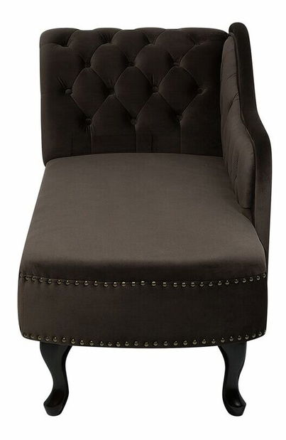 Leňoška Nili (tmavohnedá) (L)