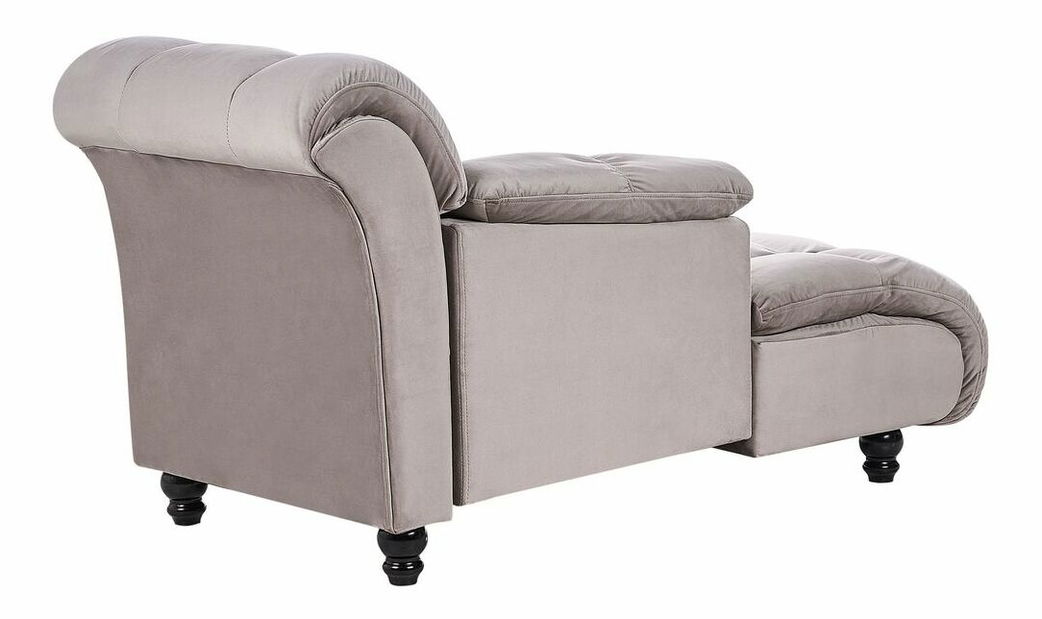 Leňoška Lorza (hnedá)