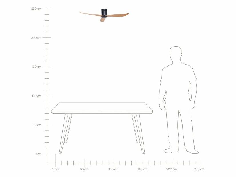 Stropni ventilator sa svjetlom Malza (crna)