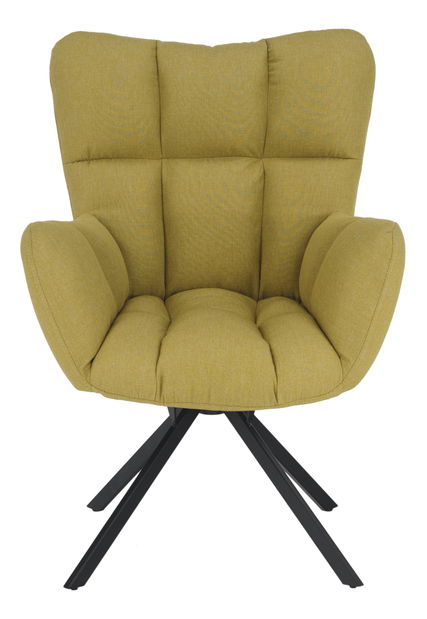 Fotoliu de design Komand (pistachio)