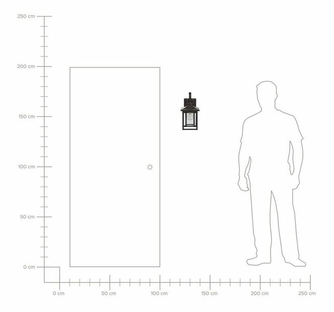 Vanjska zidna lampa Astrunes (crna)