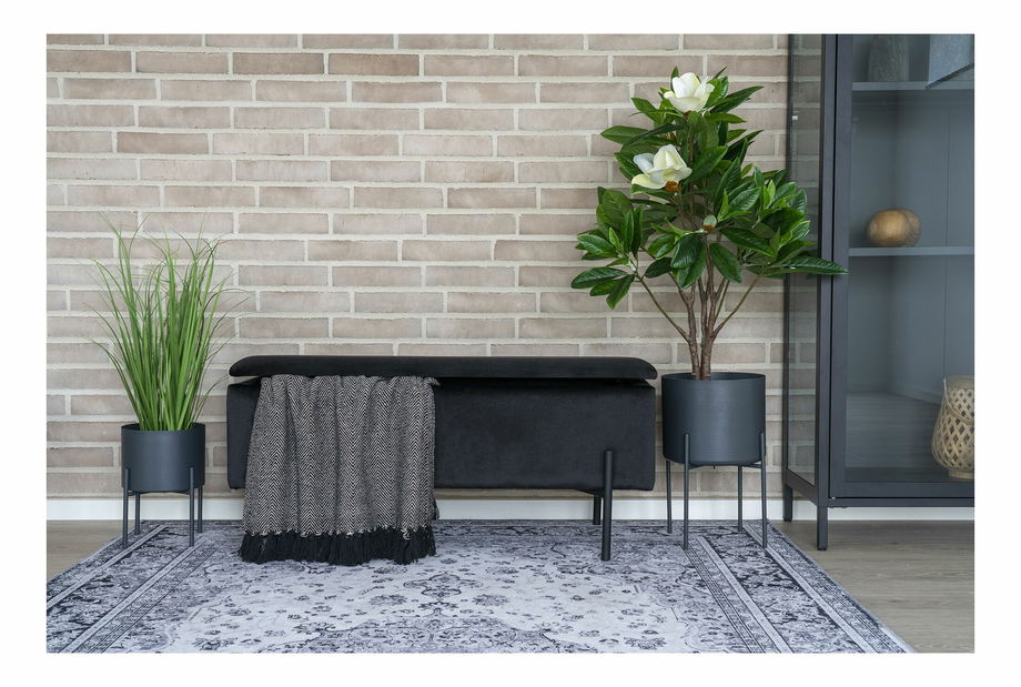 Trava Psiloria (zelena)