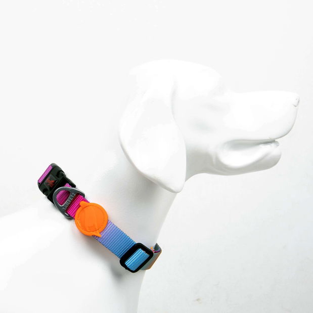 Obojok pre psa Pasta (viacfarebné) (XS)