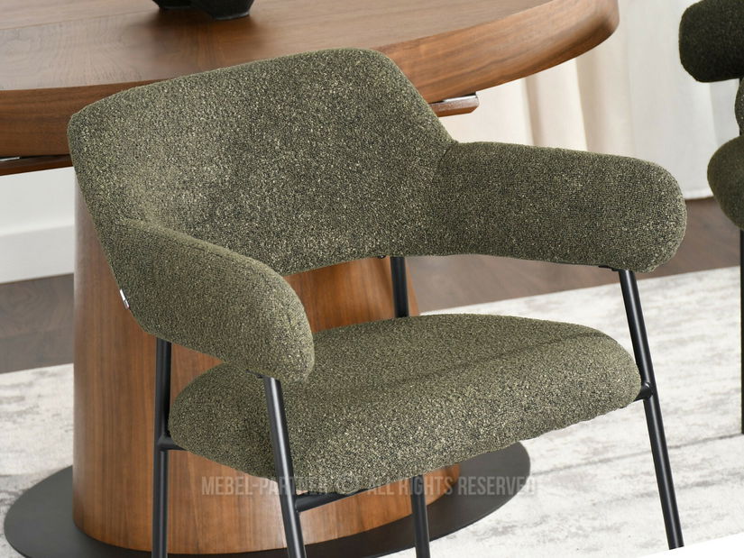 Scaun sufragerie Exigente (verde + negru)