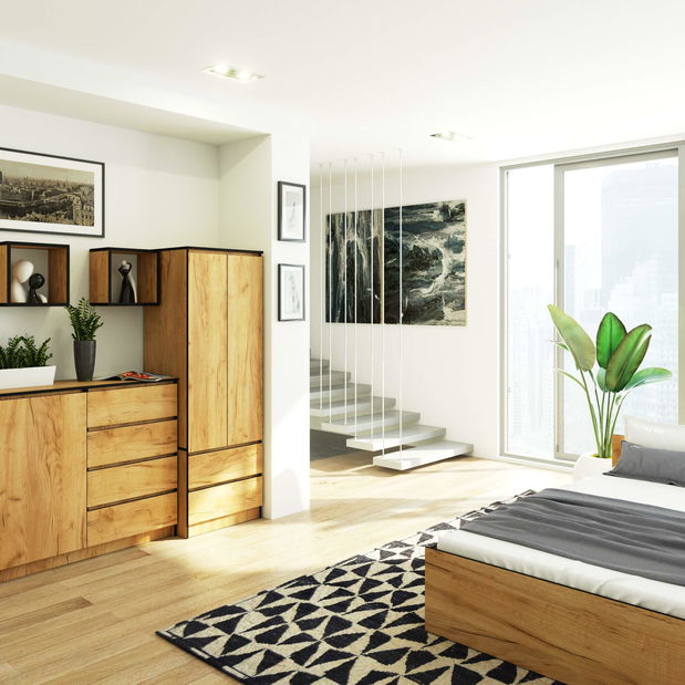 Dulap de haine Surgimiento (Stejar craft)