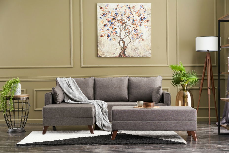 Canapea extensibilă Bellina Mini (maro) (S)