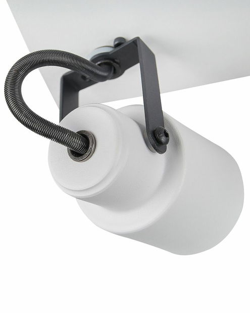 Stropné svietidlo Briyah (biela)