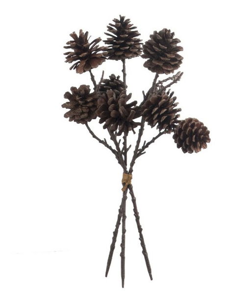 Kvetina Jolipa Vetvička Extravaganza (15x15x32cm) (Hnedá)