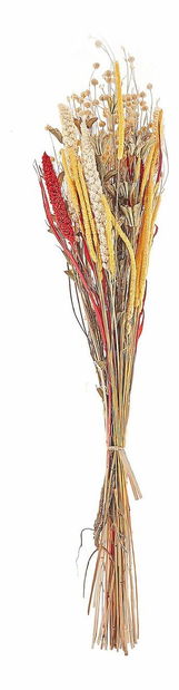Buchet de flori uscate Pamza (roșu)