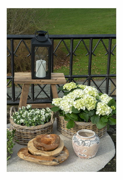 Miska Rimoria 3 (teakové drevo)