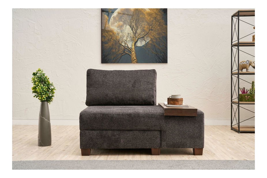 Fotelja na razvlačenje Perenilla C (D) (antracit + orah)