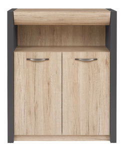 Dulap Executive REG2D1S/11/9 (gri wolfram + Stejar san remo deschis)