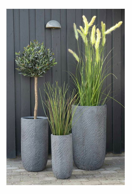 Olivovník Oslavia 2 (zelená)