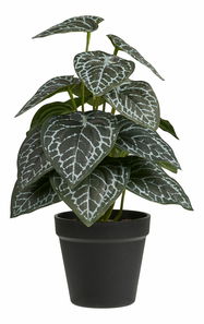 Plantă artificială Anavania 2 (verde)