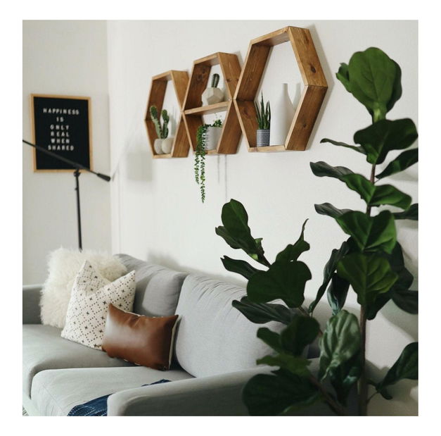 Set 3ks. políc Lunole 2 (orech) 