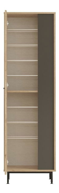 Cipősszekrény Abbygail 2 (tölgy + antracit) 