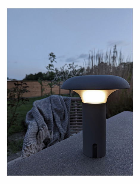 Vonkajšia LED lampa Rodelia (sivá)