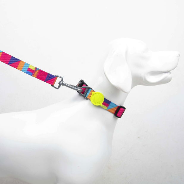 Obojok pre psa Spirr (viacfarebné) (XS)