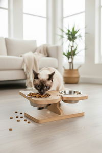 Súprava misiek pre domáce zviera Apia 15 (prírodná)