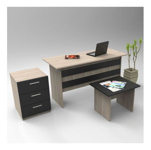 Set mobilier birou Libepi 3 (stejar + negru)