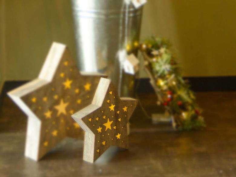 Božićna zvijezda Retlux RXL 348