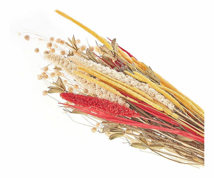 Kytica sušených kvetov Pamza (červená)