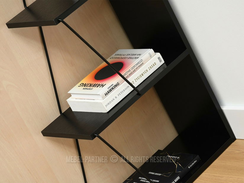 Raft Hunde și (negru)