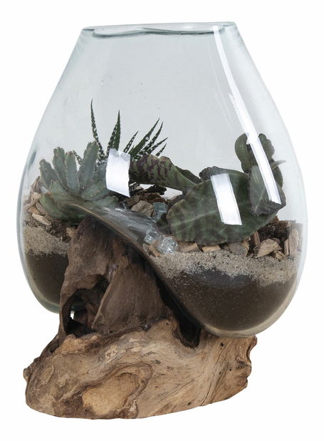 Dekorácia Sorelia 2 (prírodná)