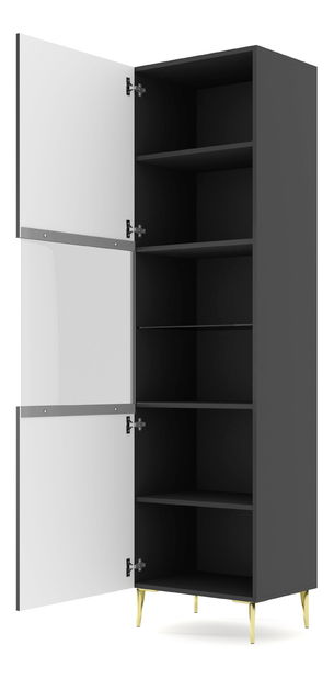 Vitrina 1DS Rowanna (crna + zlatna)