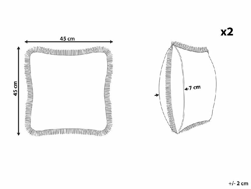 Set 2 buc perne decorative 45 x 45 cm Photo (bej)