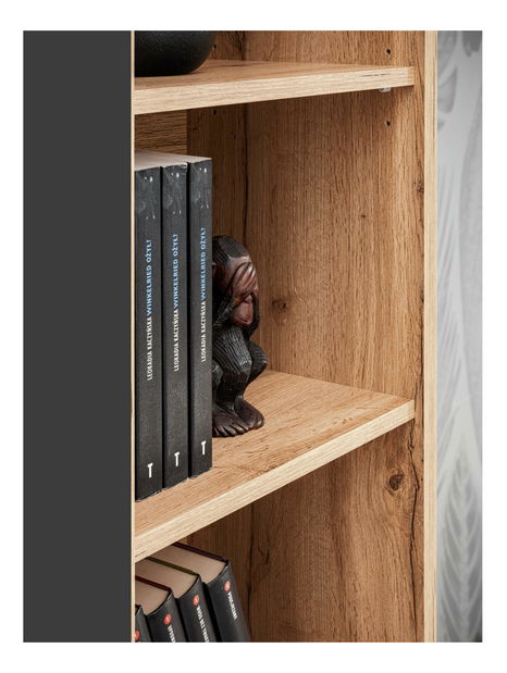 Obývacia stena Siluett (antracit + dub wotan) (s LED osvetlením)