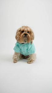 Bunda pre psa Angela (modrá) (S)