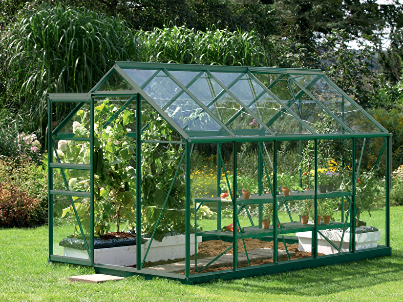 Stil clasic Greenhouse Venus 6200 (sticlă + verde)