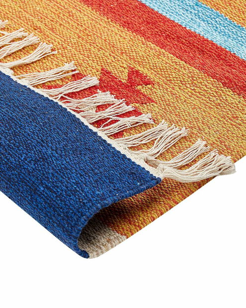 Koberec 140 x 200 cm Tarik (viacfarebná)