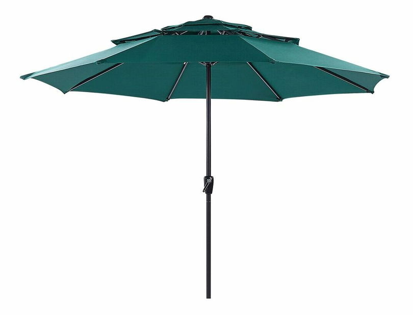 Slnečník Biancia (zelená)