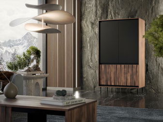 Dulap de haine Sting S1 (nuc + negru)