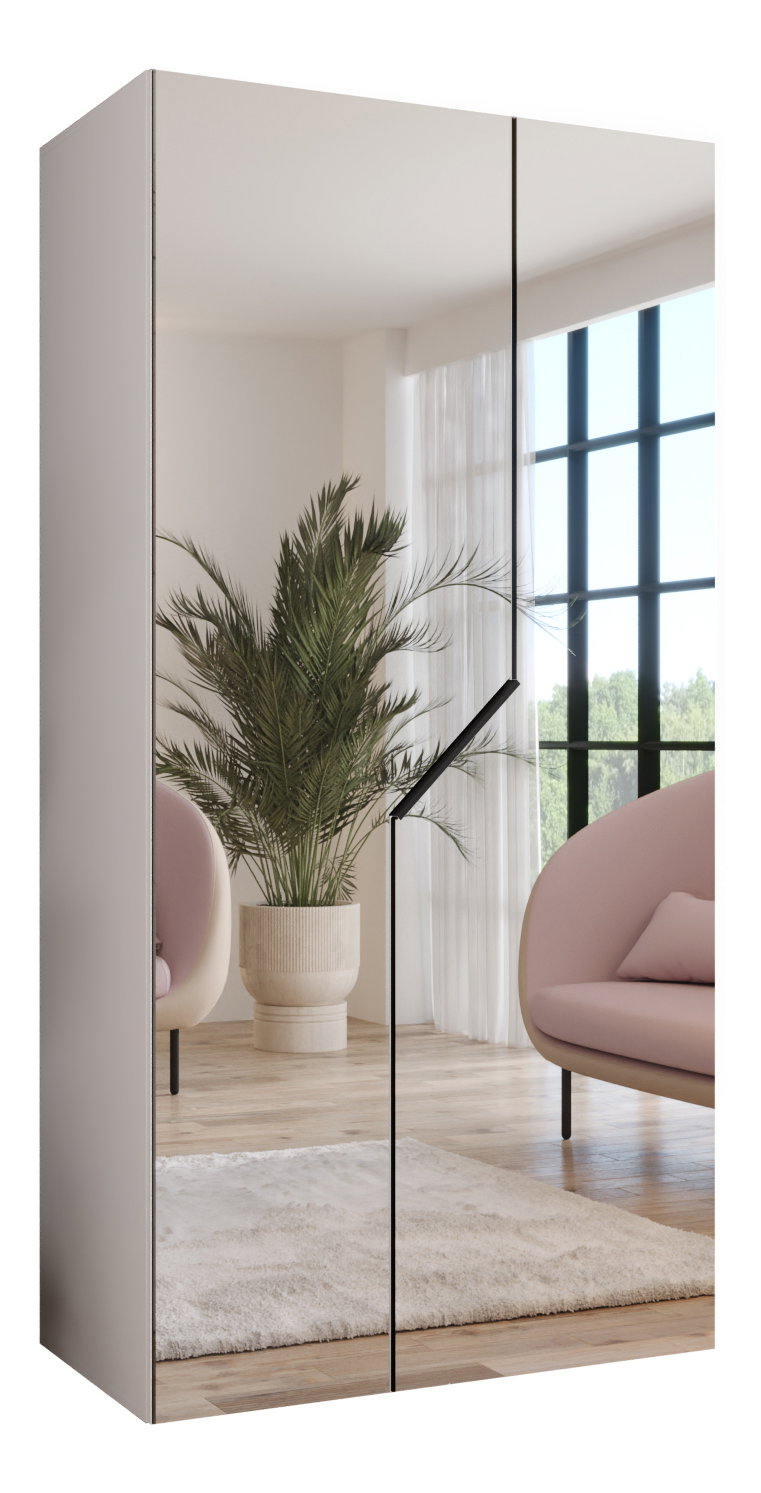 Dulap de haine Alaris 3 100 (alb + negru) (cu oglindă)