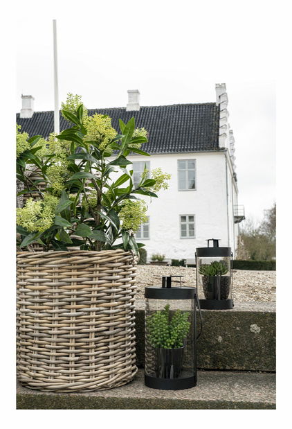 Strom Stalina (zelená)