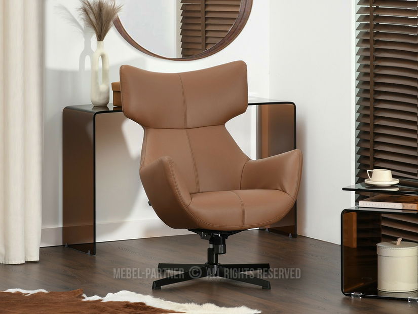 Fotoliu relax Lordon (maro + negru)