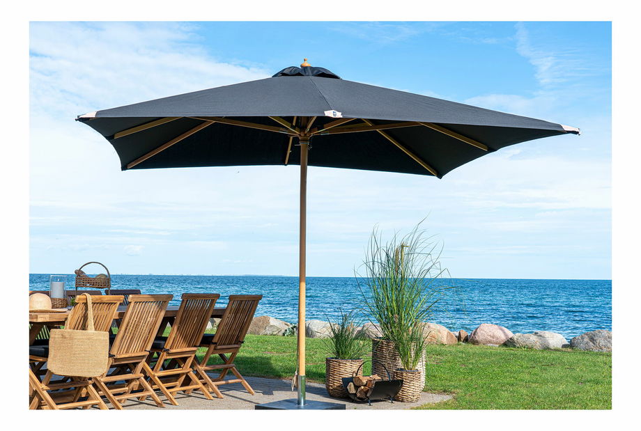 Slnečník Oravina (čierna)