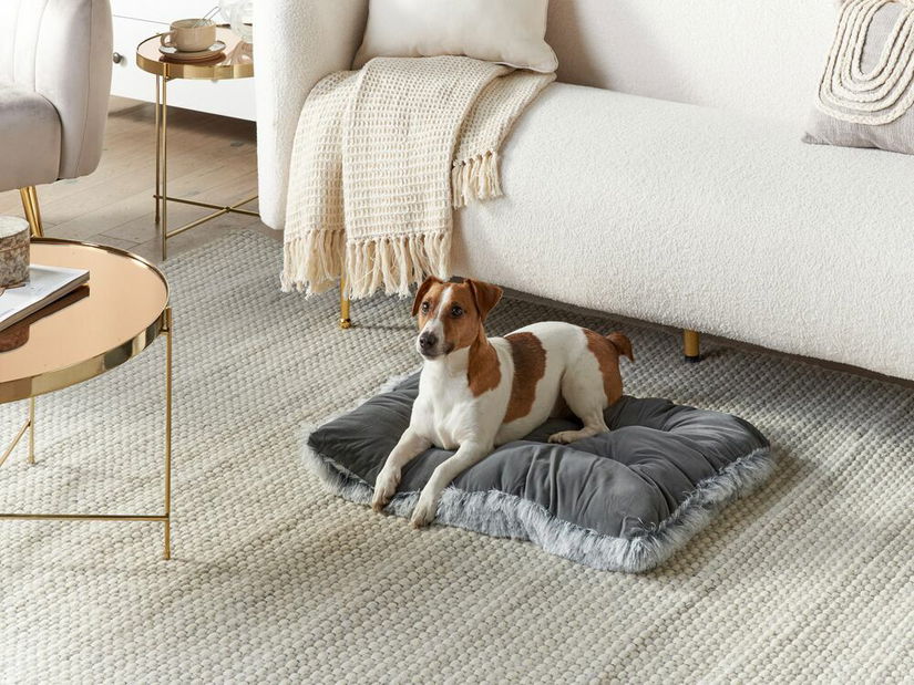 Culcuș/ Pat pentru câine 90 x 45 cm Edward (gri)