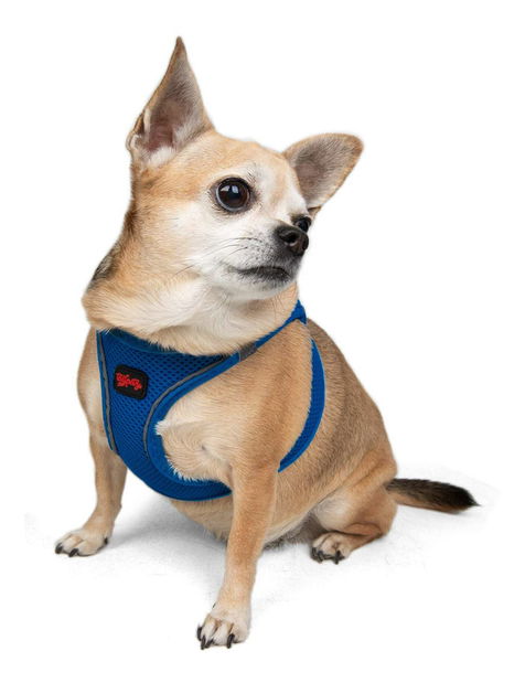 Postroj pre psa Airy (modrá) (L)