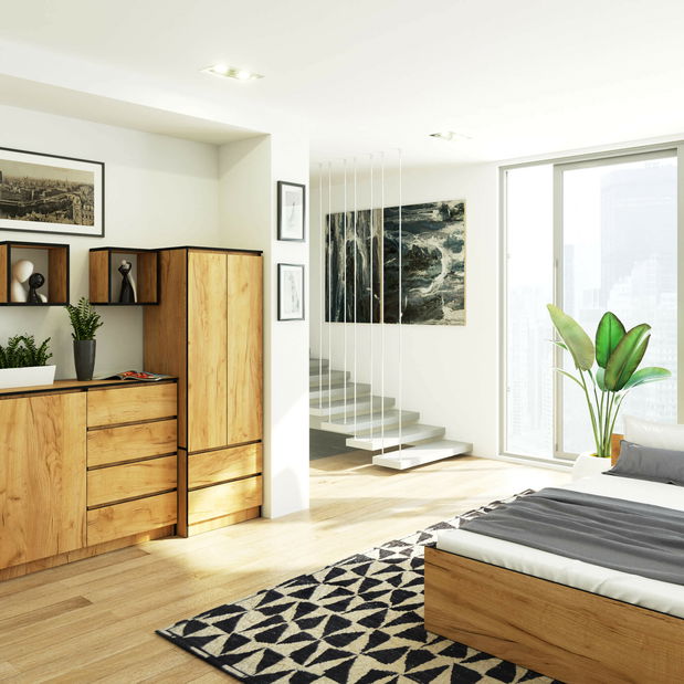 Dulap de haine Sentenciaba (stejar craft)