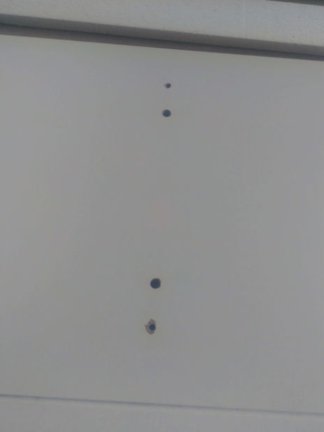 Hol Mila (alb) *resigilat