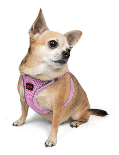 Postroj pre psa Airy (ružová) (S)