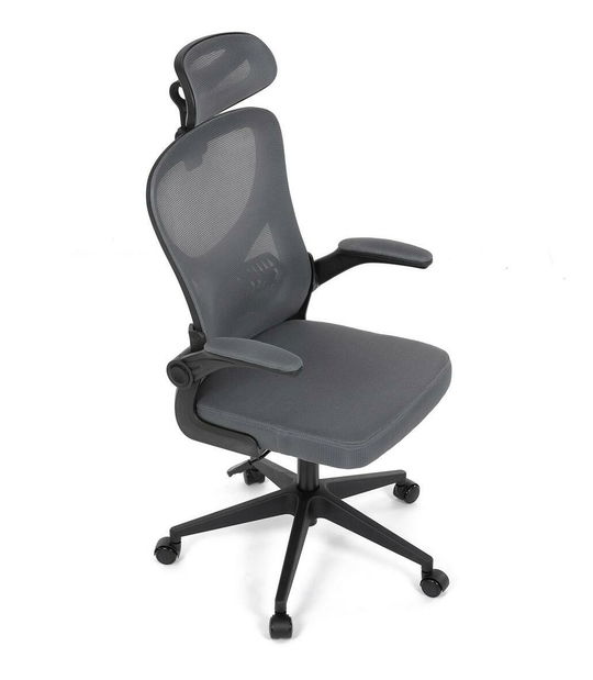 Fotoliu birou Klebanovas (gri)