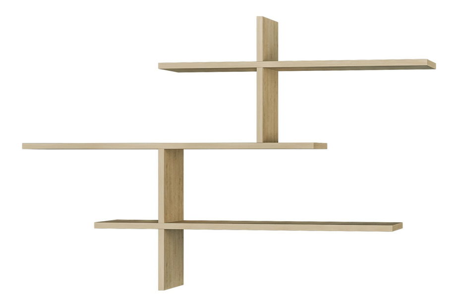 Raft Leonardo (Stejar)